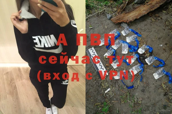 прущие крисы Балахна