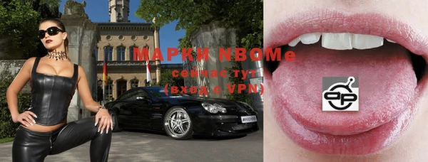 стафф Баксан